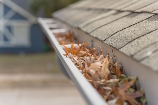 Leaf Barrier Installation in Valdosta