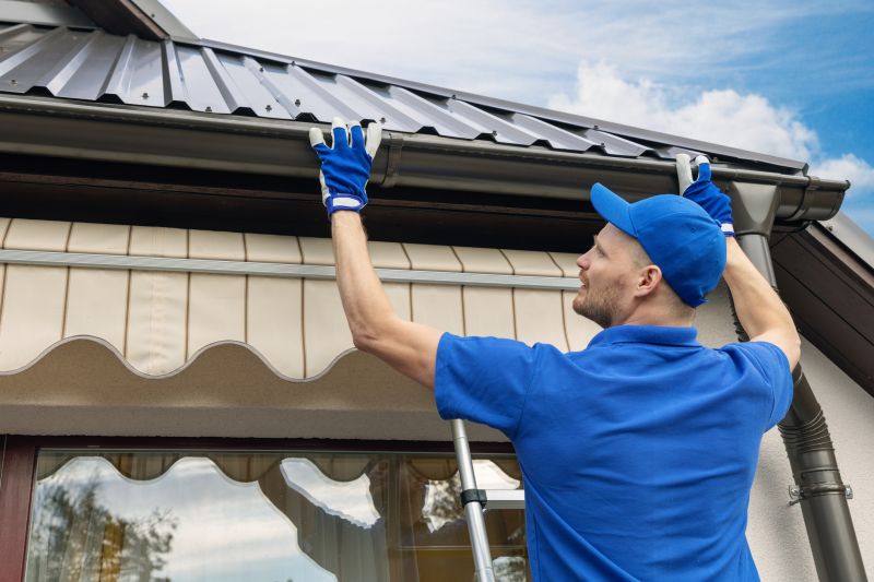 Gutter Cleaning Professionals